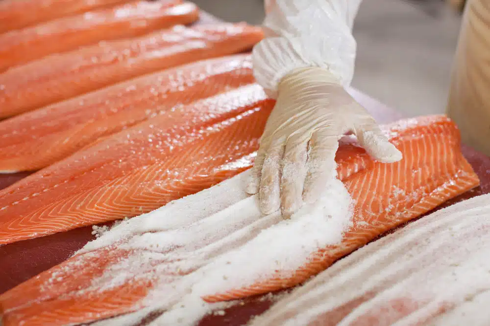Salt being applied to processed fish